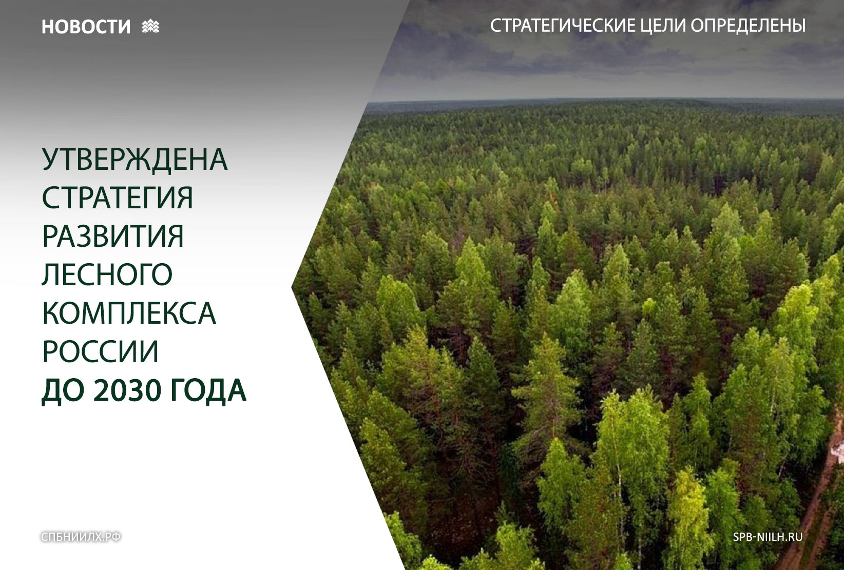 Определить перспективы лесного комплекса. Стратегия развития лесного комплекса РФ до 2030. Развитие лесного комплекса. Стратегия развития лесного комплекса в России. Стратегия развития лесопромышленного комплекса до 2030.