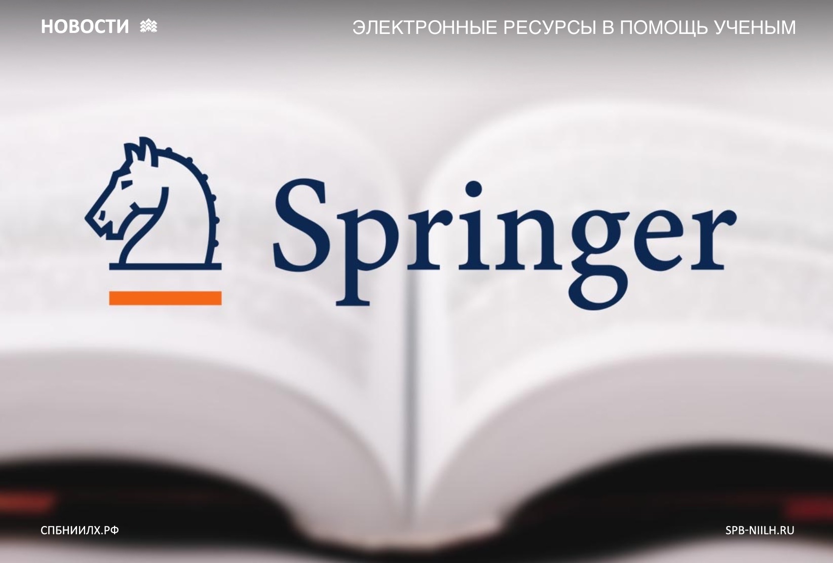 Https link springer com. Издательство Springer. Издательства Springer nature. Springer лого. Springer nature логотип.
