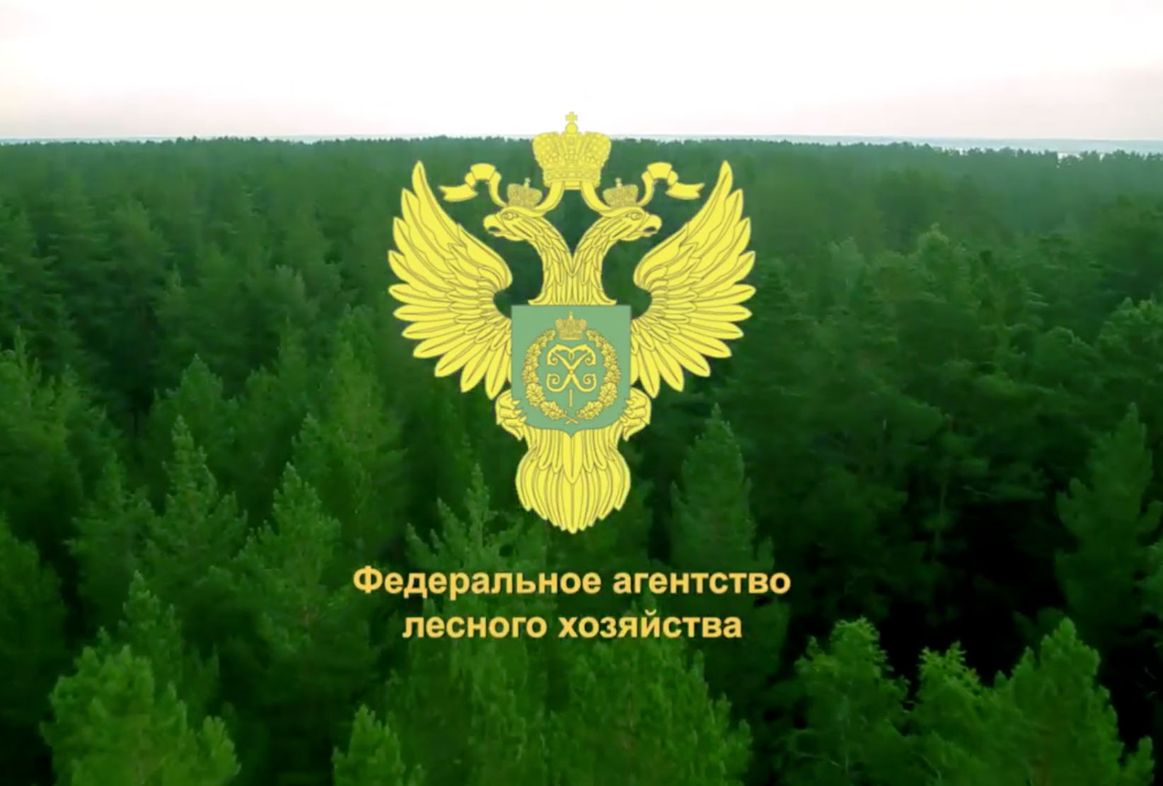 Федеральная служба лесного хозяйства России